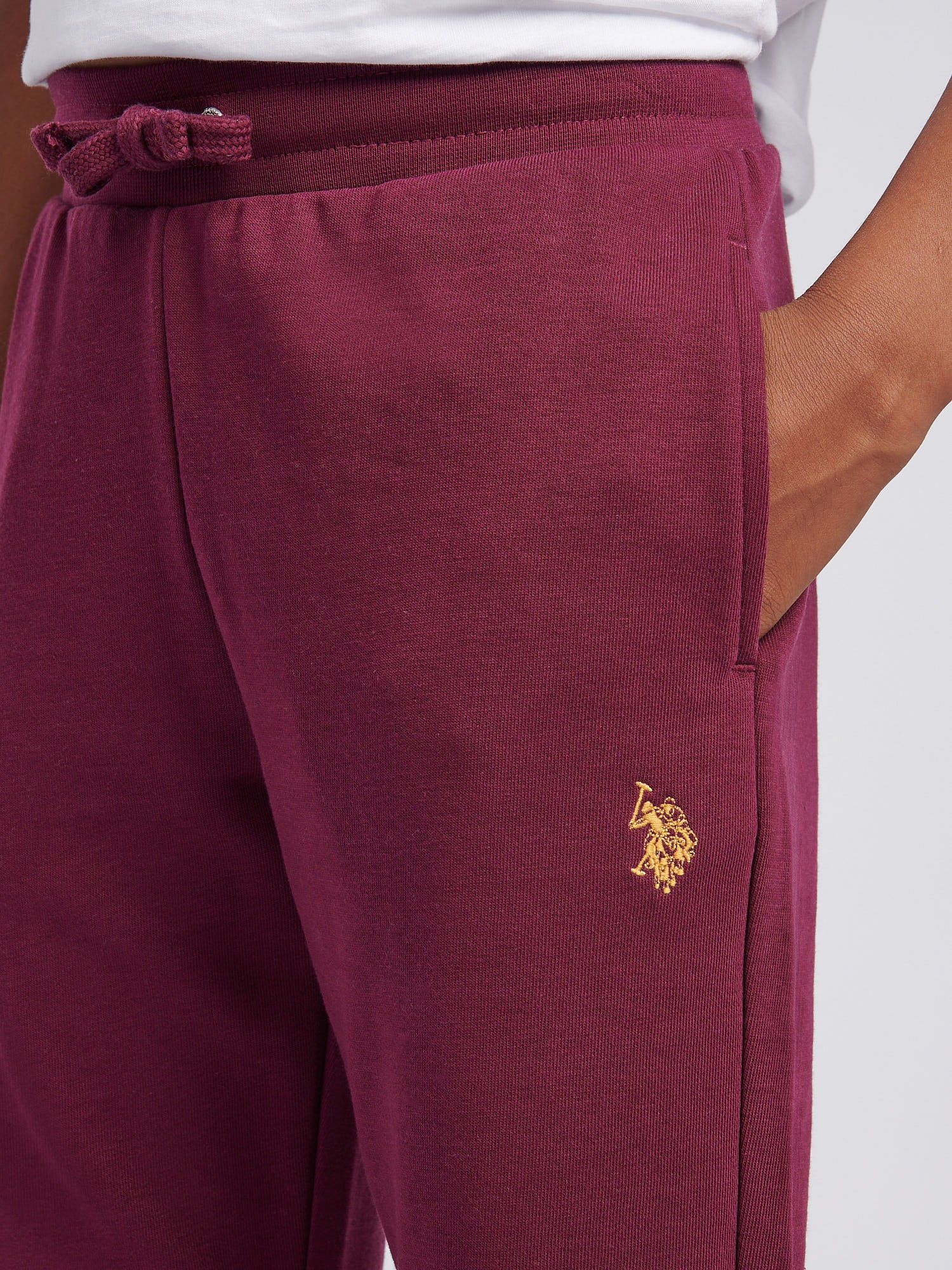 Boys Double Horsemen Loopback Jogger Grape Wine - Image 2