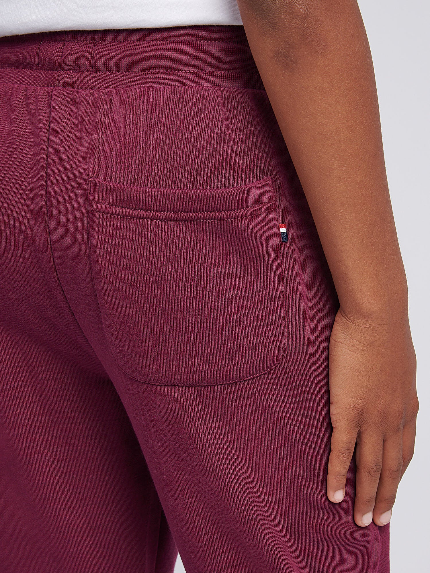 Boys Double Horsemen Loopback Jogger Grape Wine - Image 5