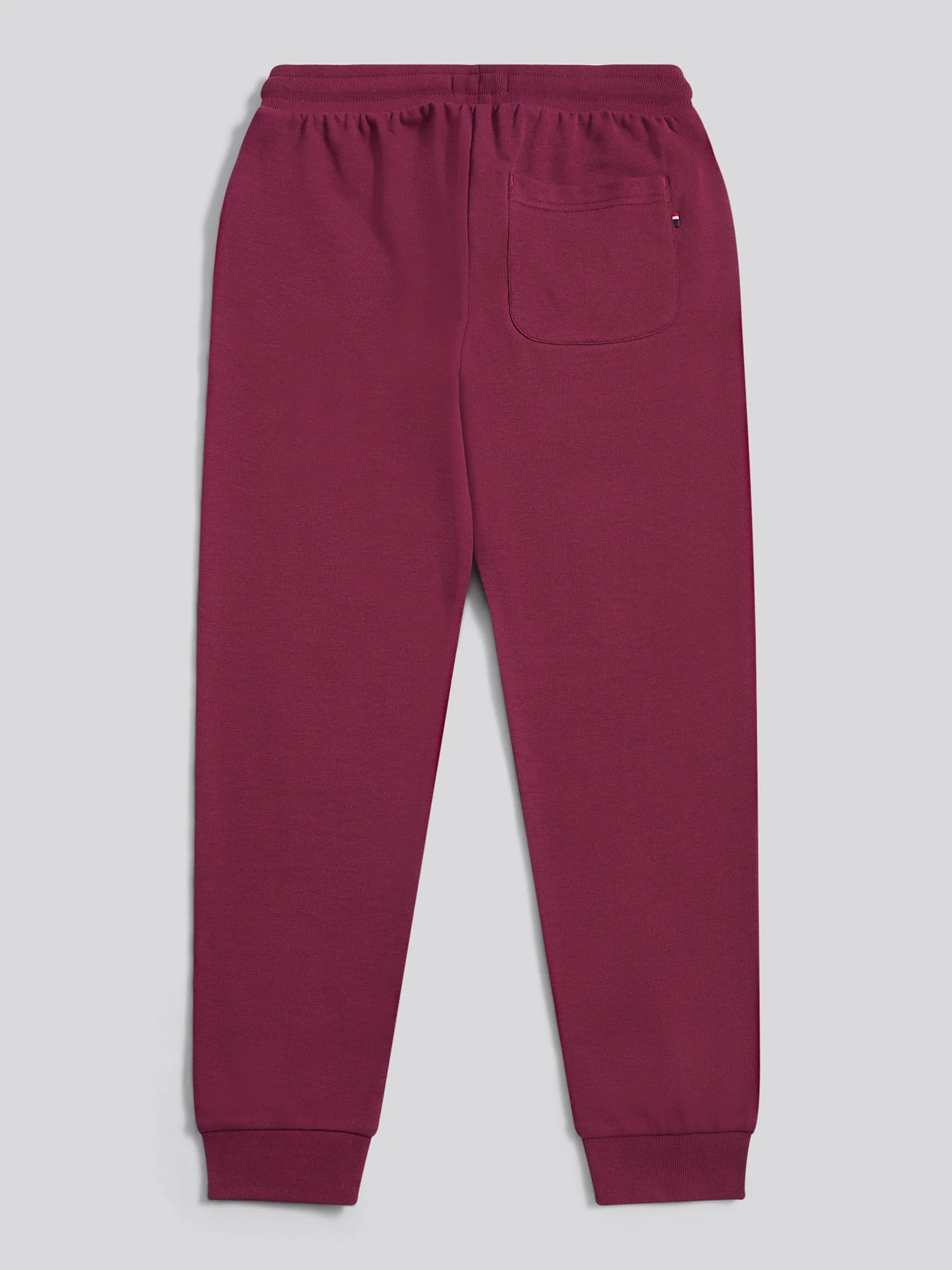 Boys Double Horsemen Loopback Jogger Grape Wine - Image 7