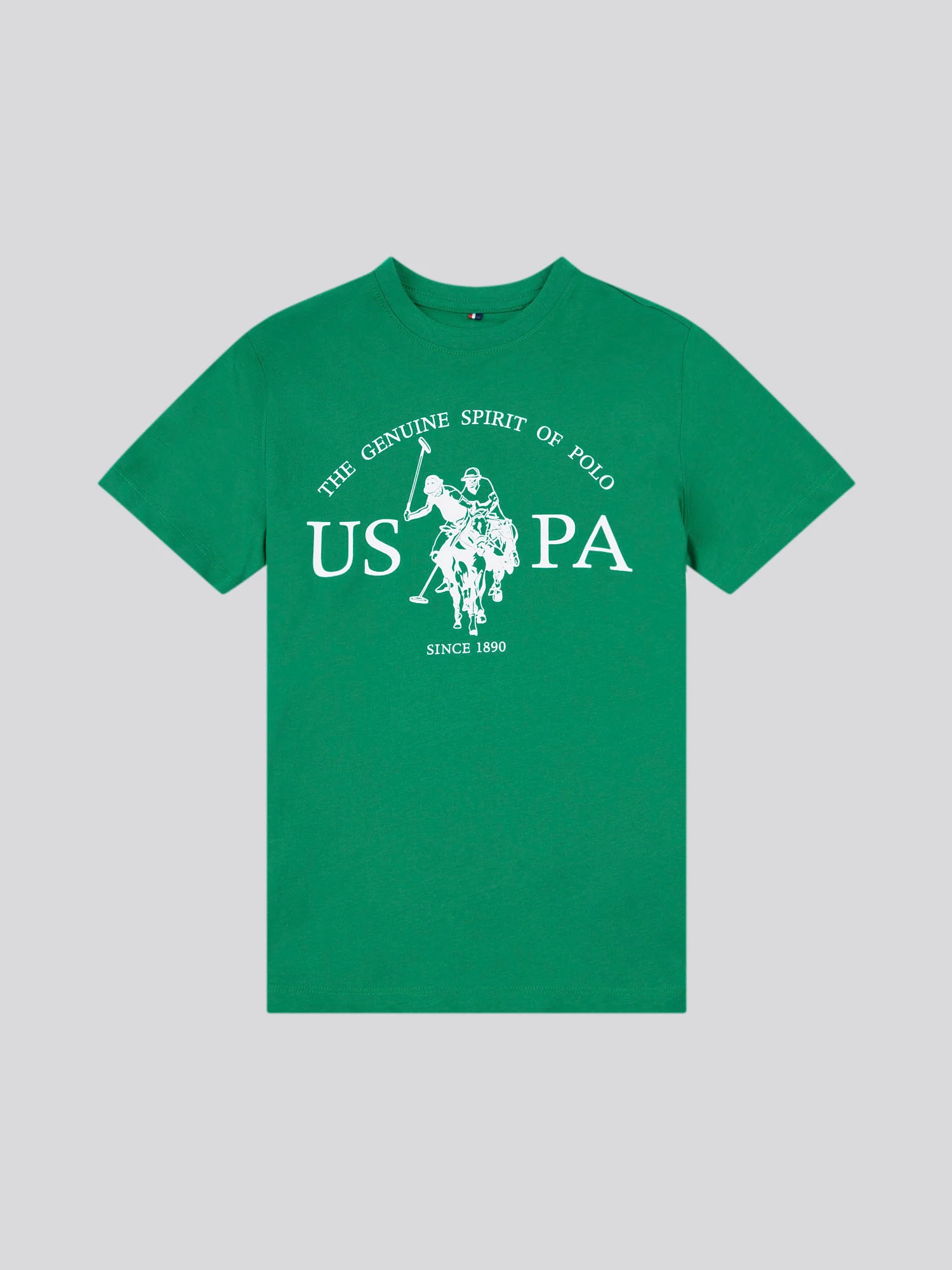 Boys USPA Print Graphic T-Shirt in Lush Meadow - Image 5