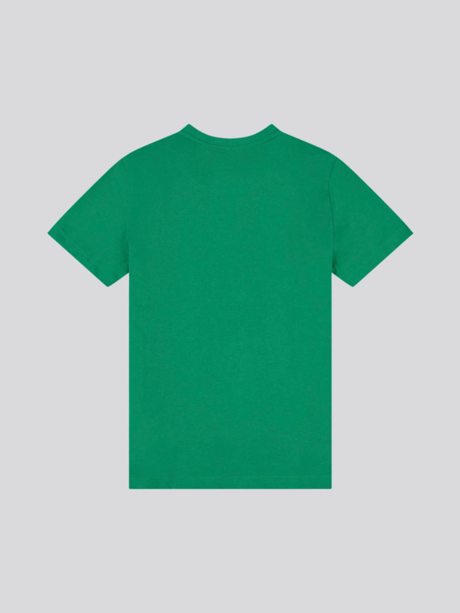 Boys USPA Print Graphic T-Shirt in Lush Meadow - Image 6