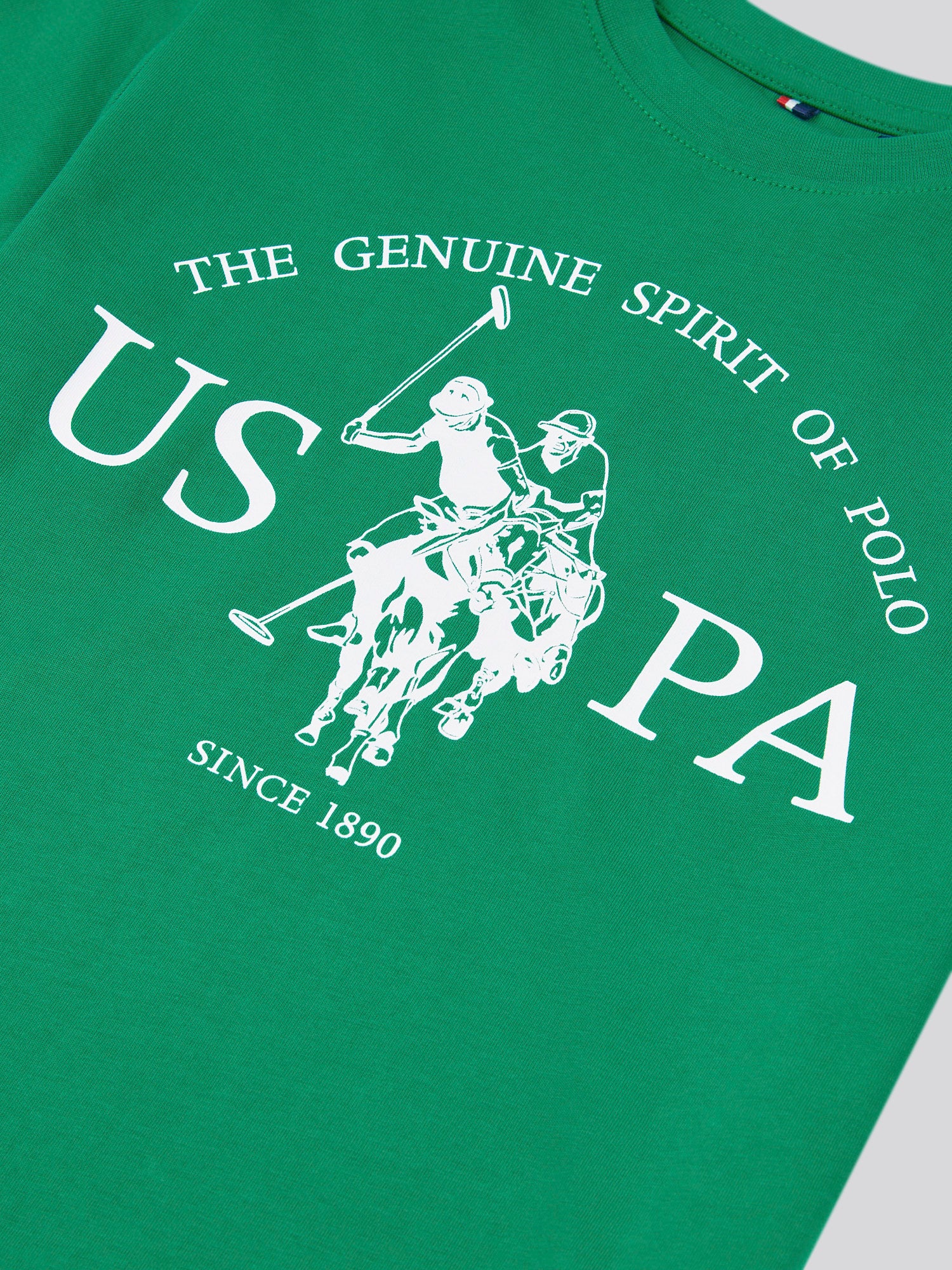 Boys USPA Print Graphic T-Shirt in Lush Meadow - Image 7